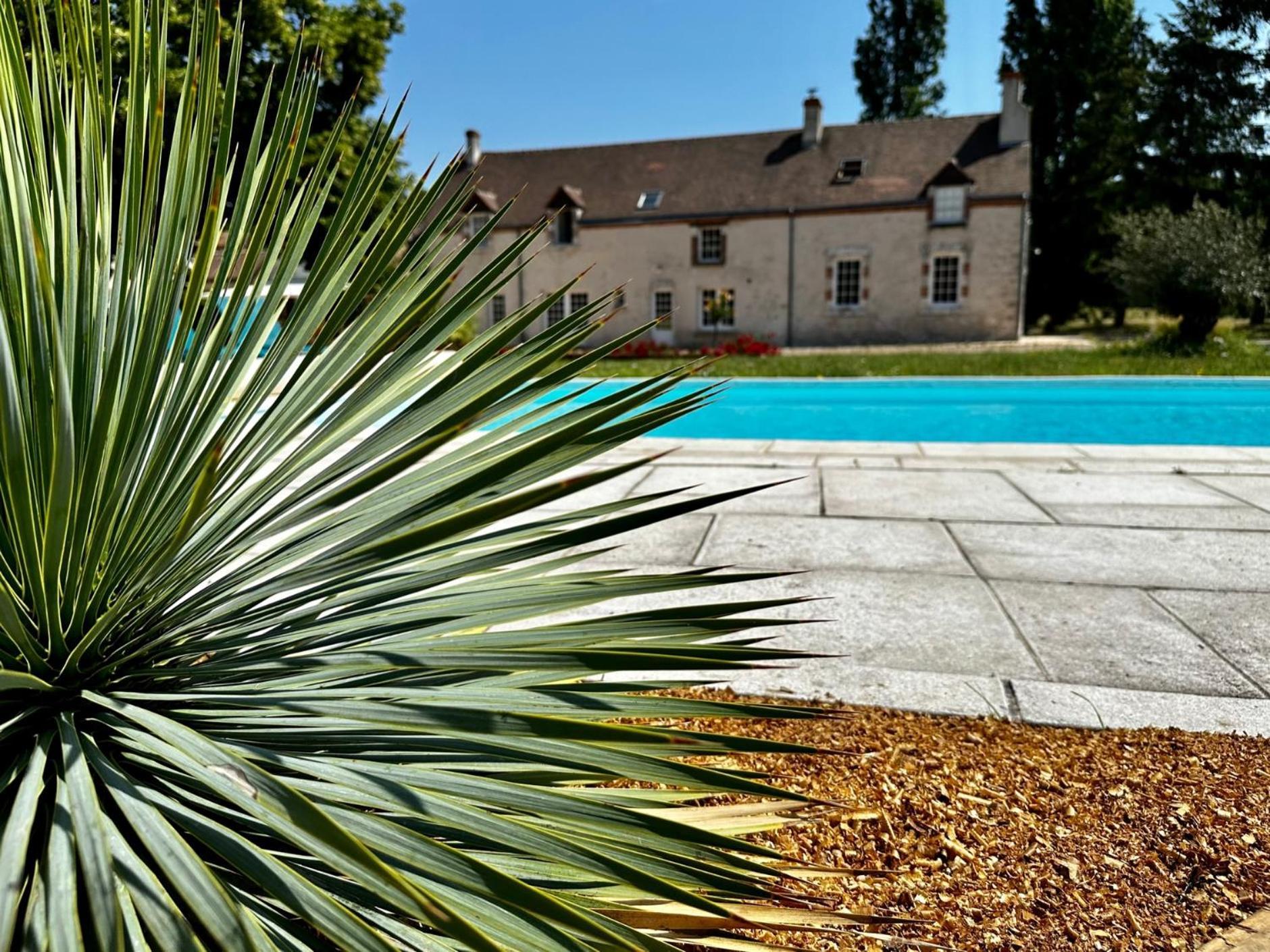Domaine De Couilleuse Hotel Saint-Laurent-Nouan Exterior foto