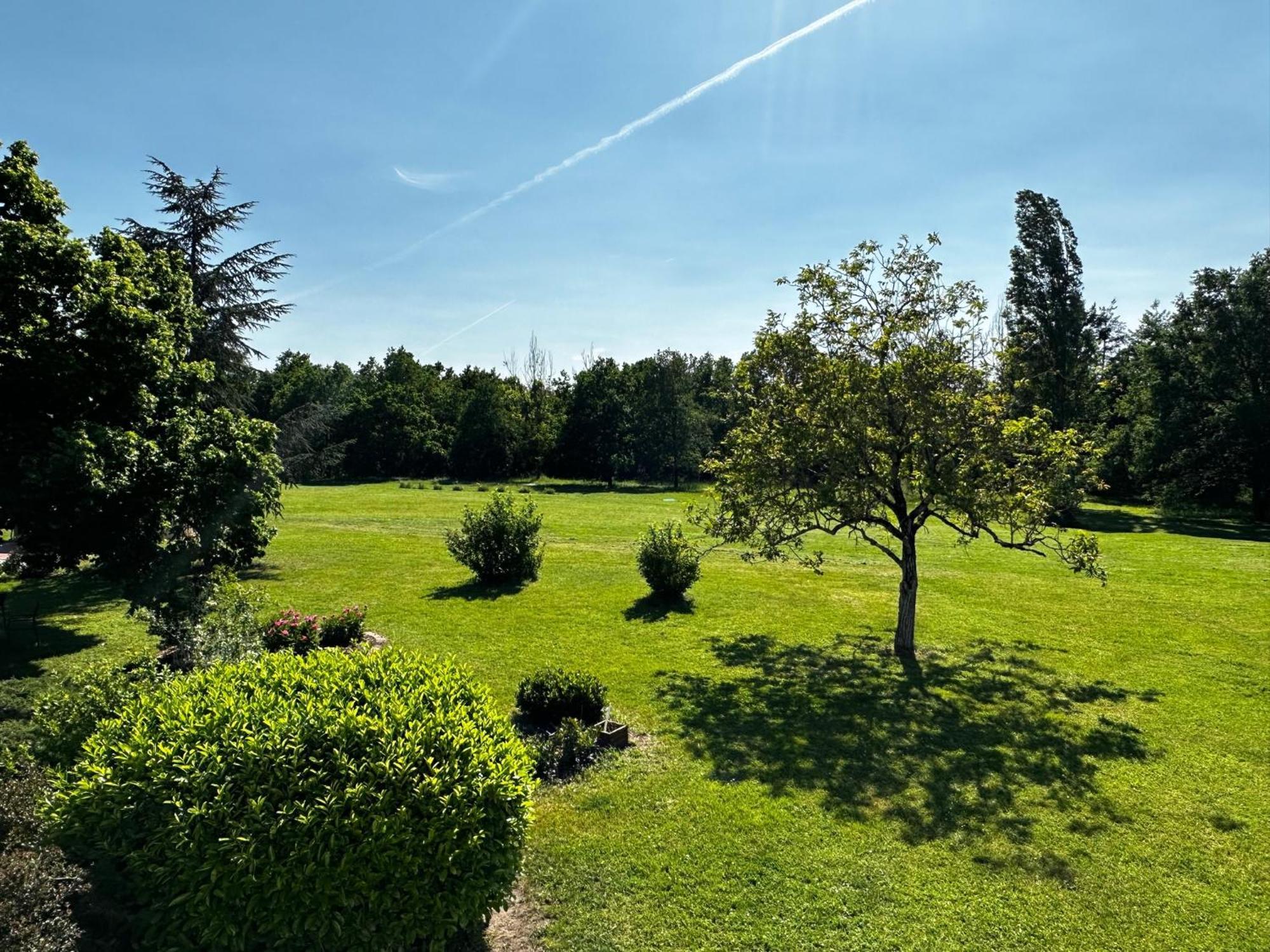 Domaine De Couilleuse Hotel Saint-Laurent-Nouan Exterior foto